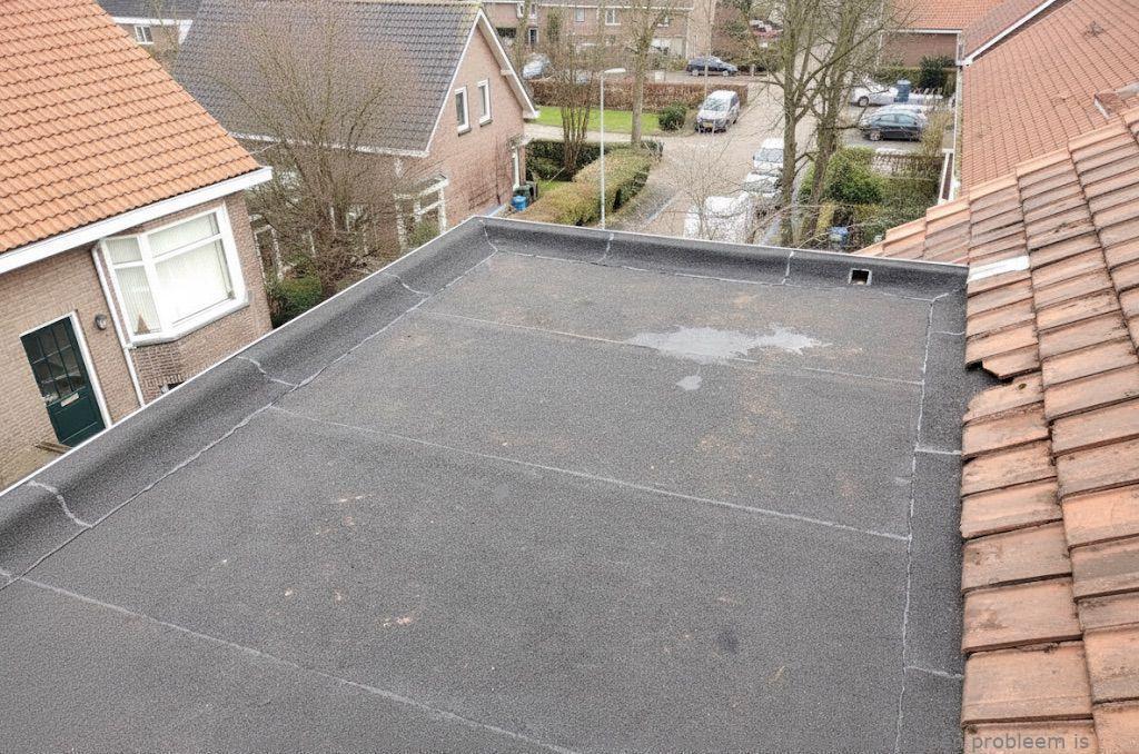 Dakdekker In Najaar Veldhoven