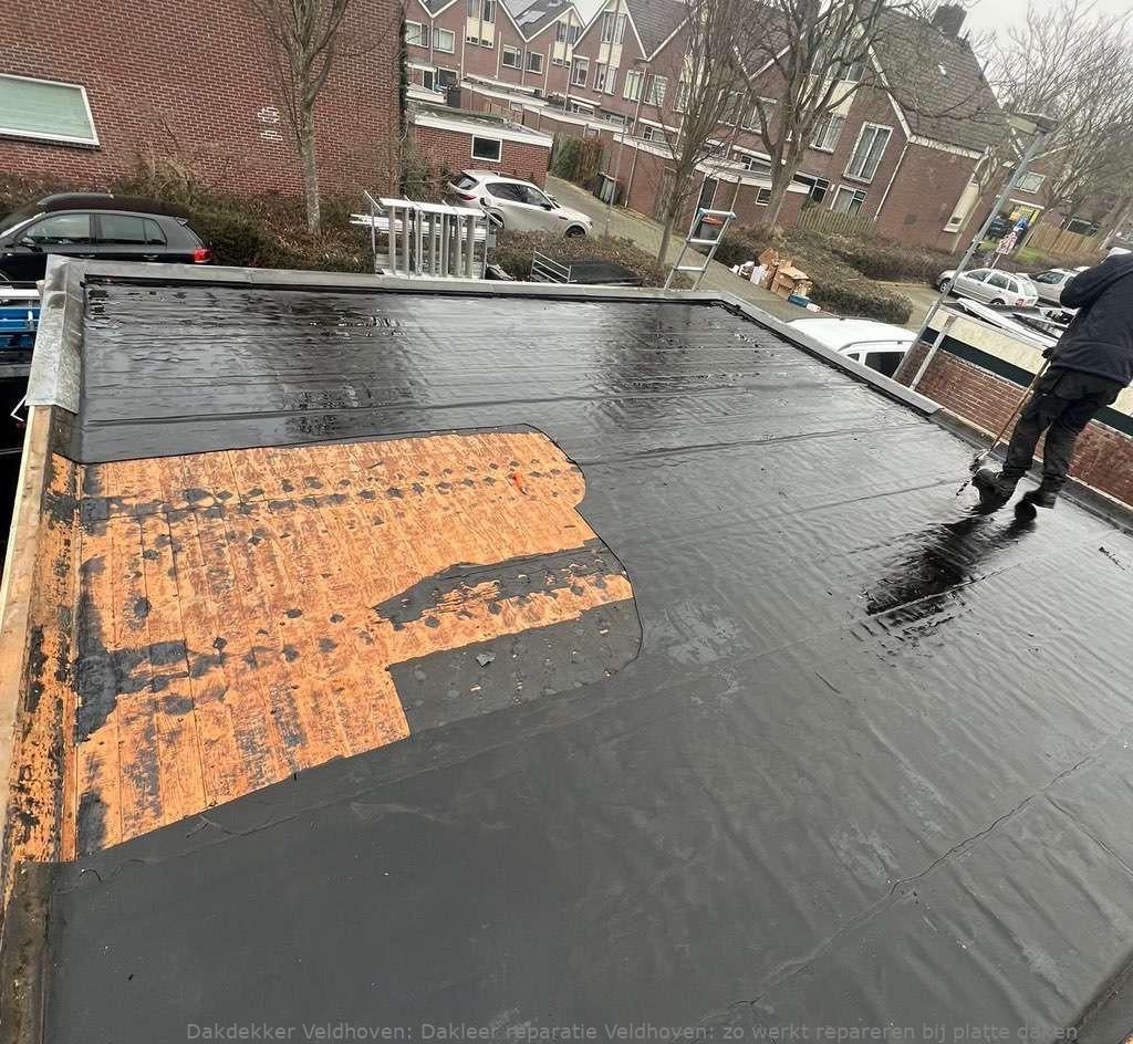 Dakleer Reparatie Veldhoven