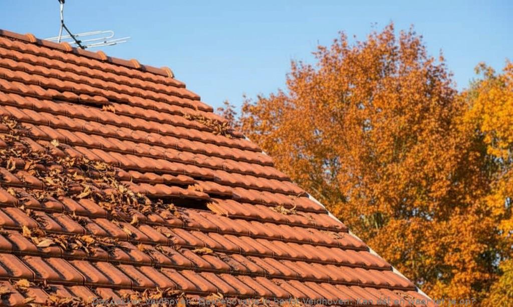Dakrenovatie In Herfst Veldhoven