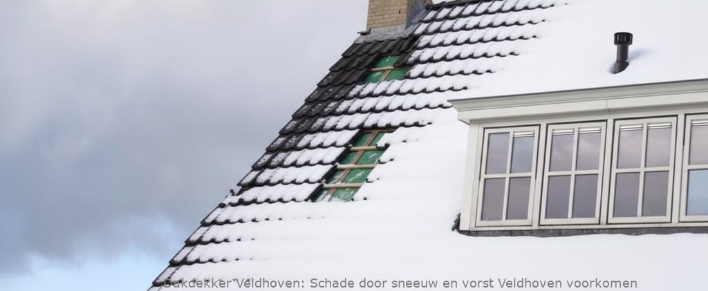 Schade Door Sneeuw En Vorst Veldhoven