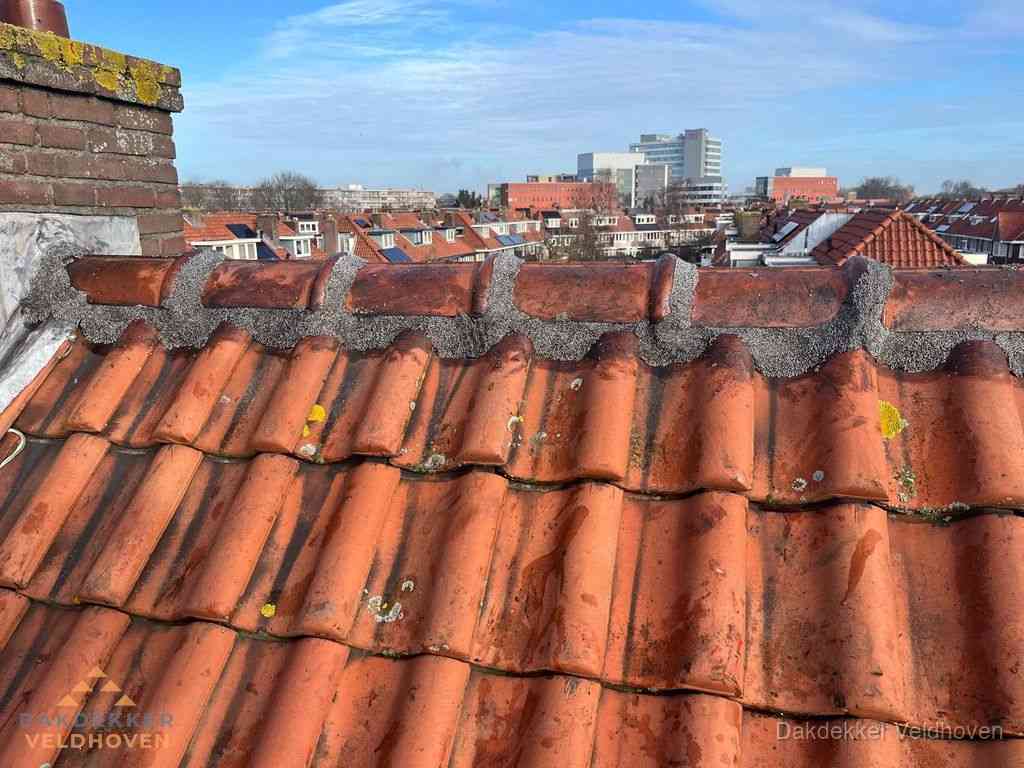 Veldhoven Daken Renoveren