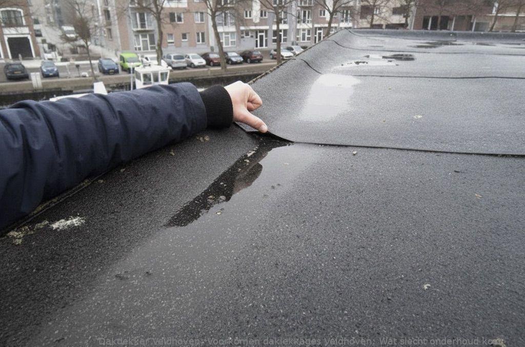 Voorkomen Daklekkages Veldhoven